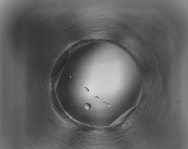 X0000073520160200608071131