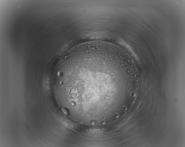 X0000073520161200608071131