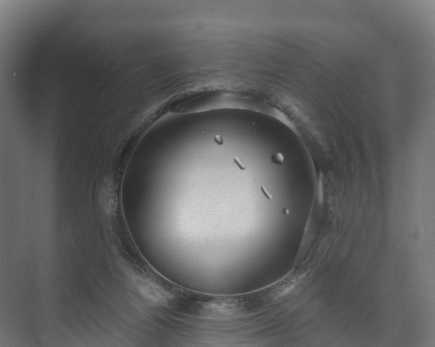 X0000073520164200608071131