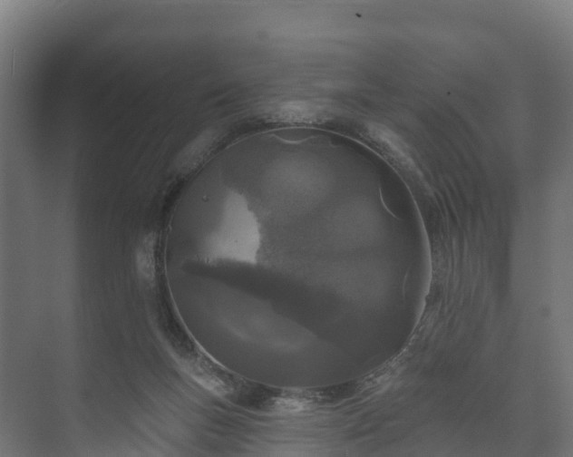 X0000073520167200608071131