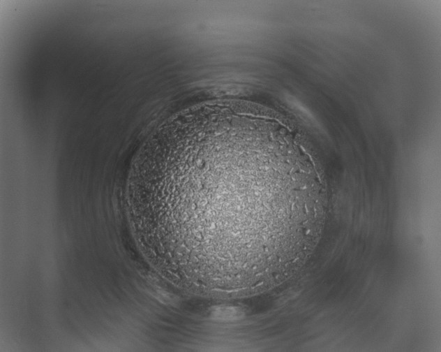 X0000073520169200608071131