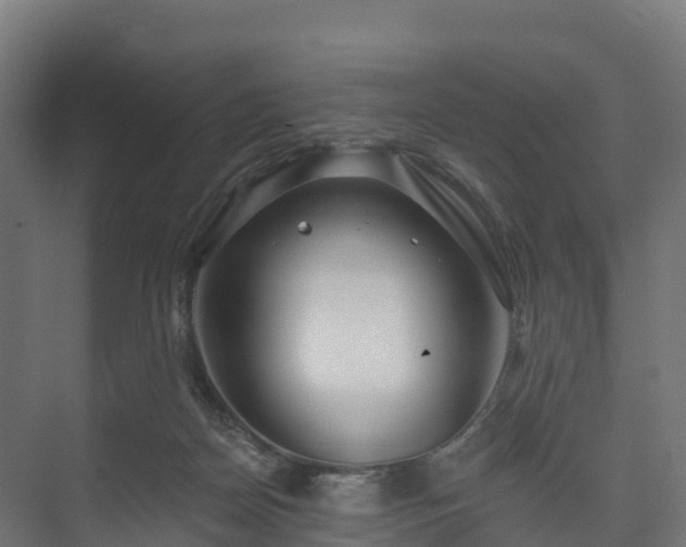 X0000073520170200608071131