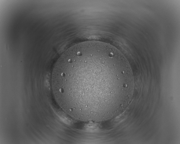 X0000073520175200608071131