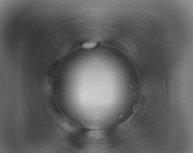 X0000073520179200608071131