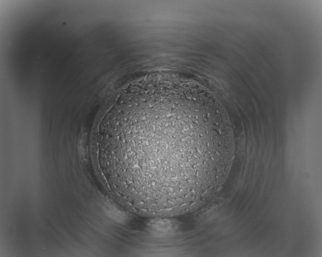 X0000073520181200608071131