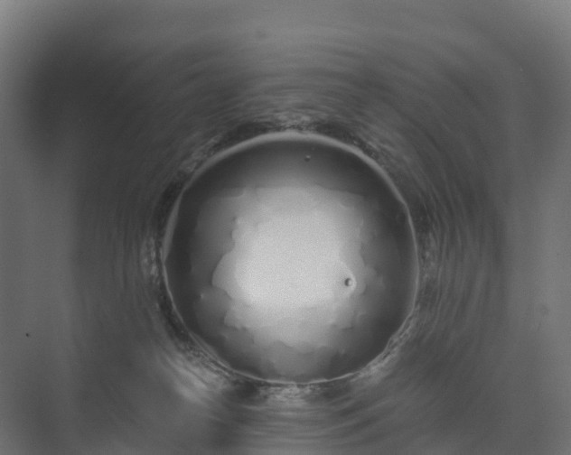 X0000073520182200608071131