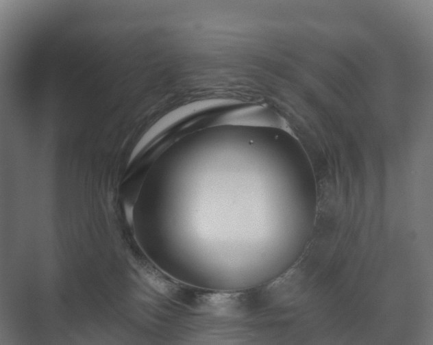 X0000073520184200608071131