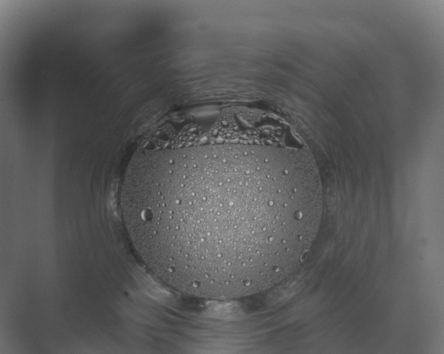 X0000073520185200608071131