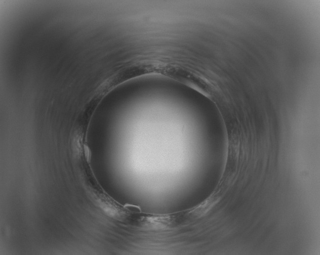 X0000073520188200608071131