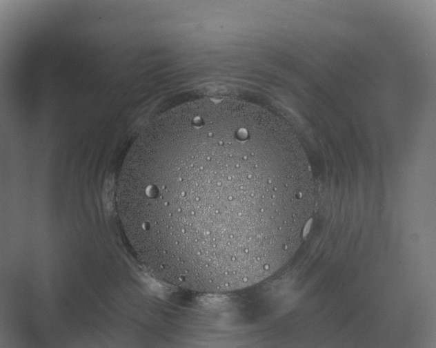 X0000073520189200608071131