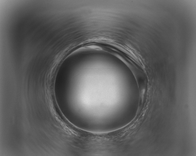 X0000073520193200608071130