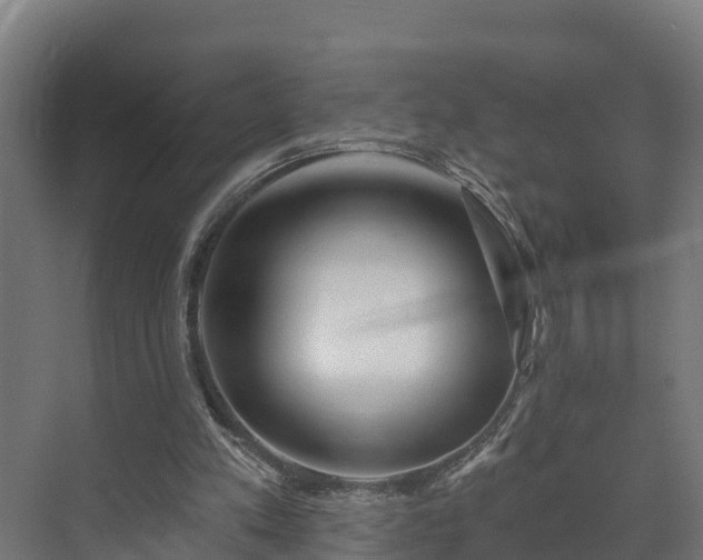 X0000073520197200608071130