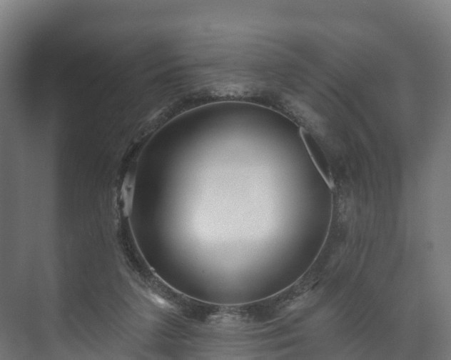 X0000073520211200608071130