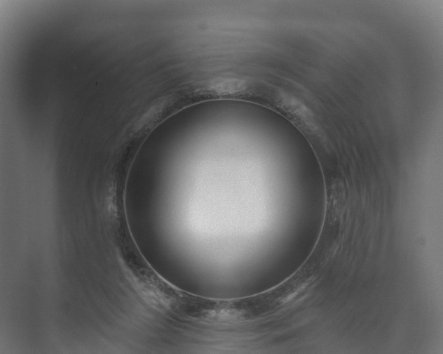 X0000073520212200608071130