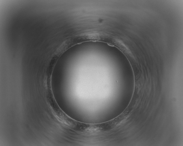 X0000073520213200608071130
