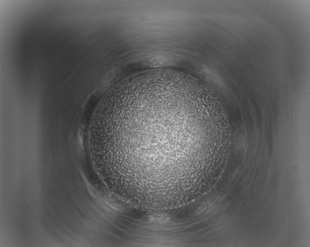 X0000073520214200608071130