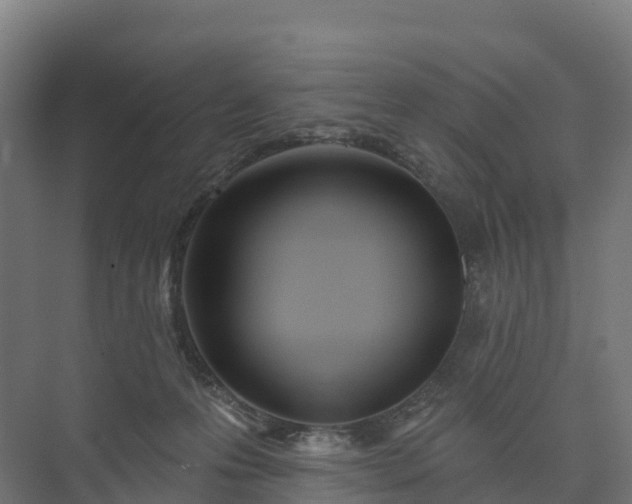 X0000073520223200608071130