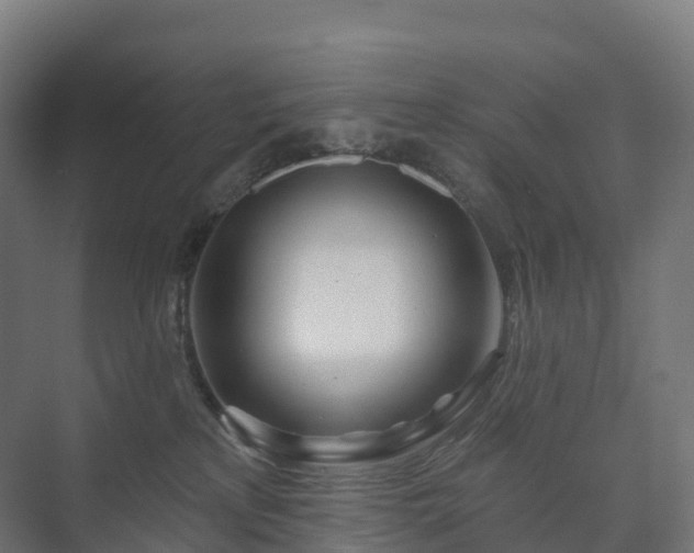 X0000073520233200608071130