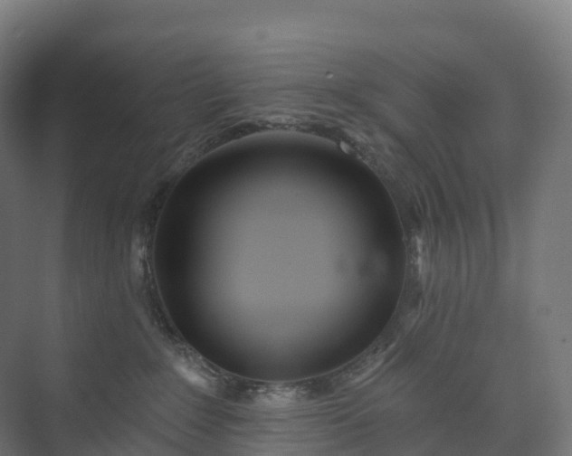 X0000073520235200608071130