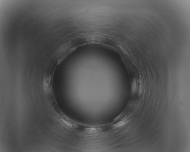 X0000073520239200608071130