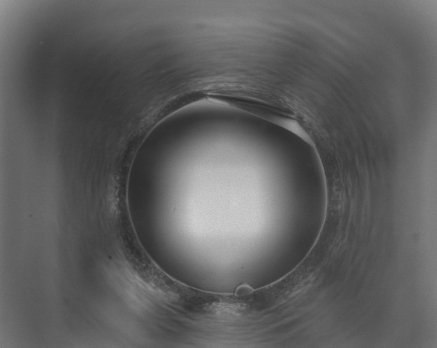 X0000073520255200608071129
