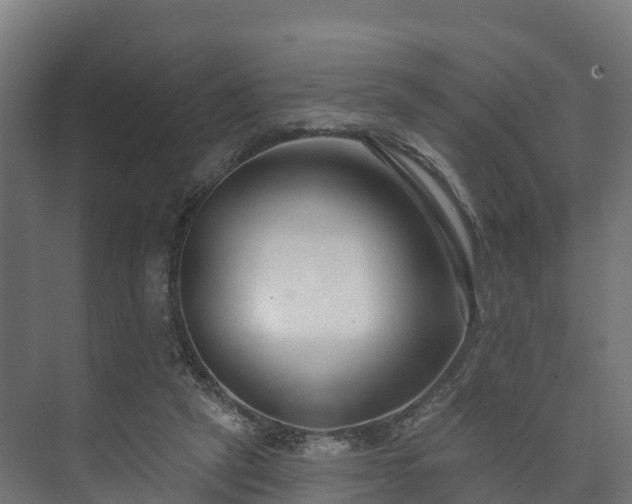 X0000073520257200608071129