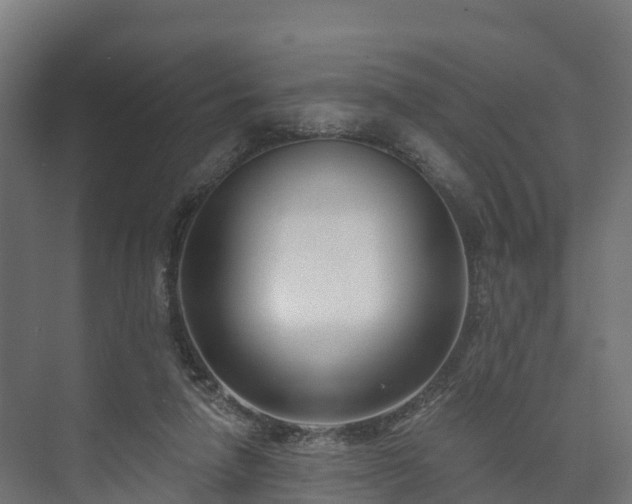 X0000073520258200608071129