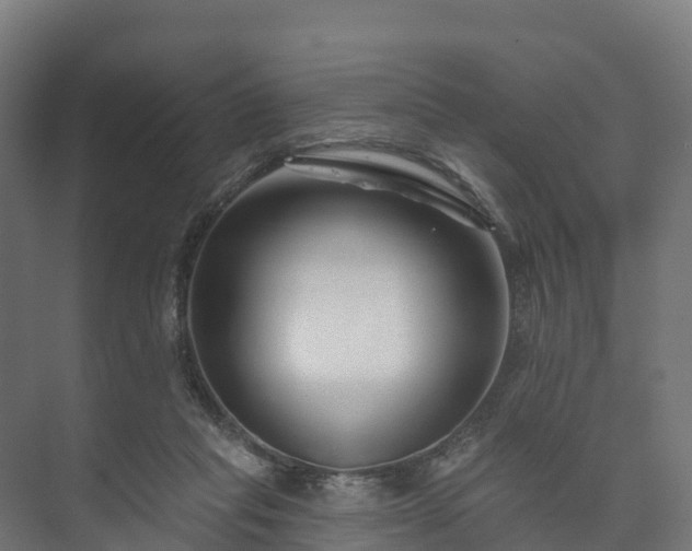 X0000073520261200608071129