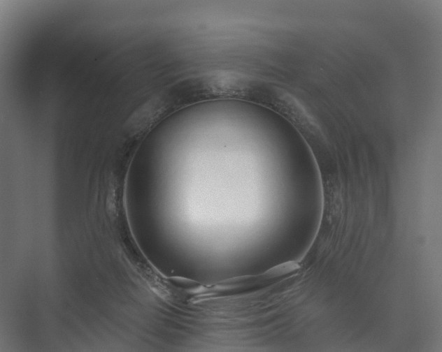 X0000073520266200608071129