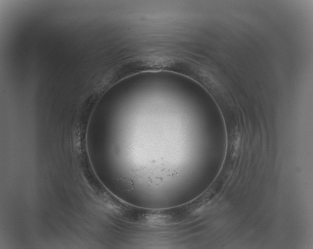 X0000073520268200608071129