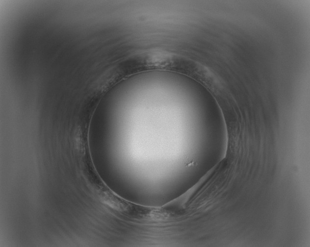 X0000073520270200608071129