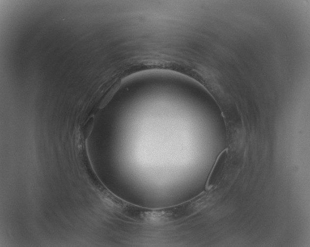 X0000073520273200608071129