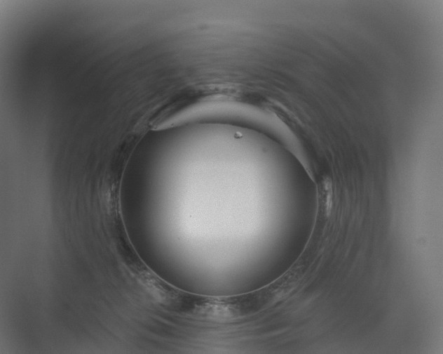 X0000073520276200608071129
