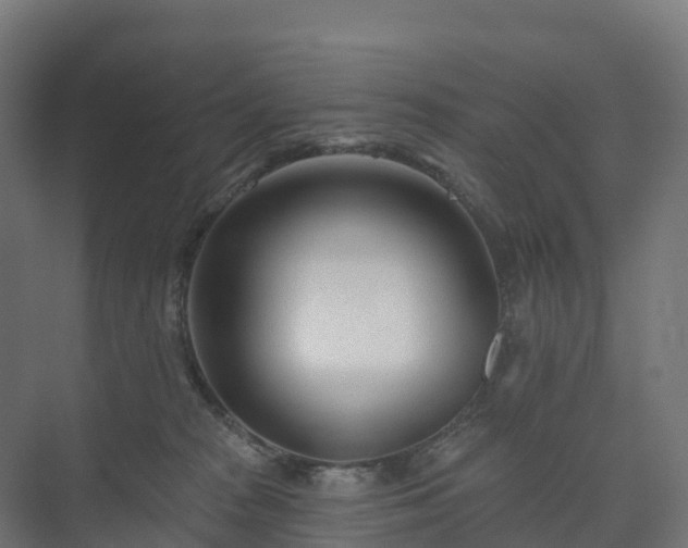 X0000073520277200608071129