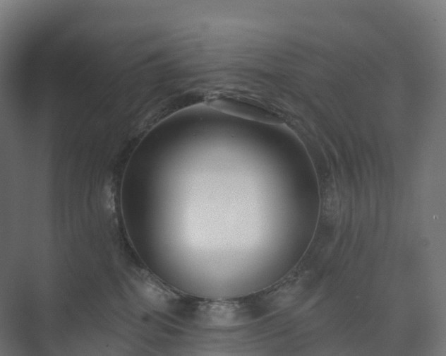 X0000073520282200608071129