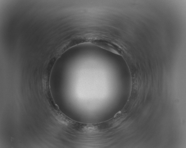 X0000073520283200608071129
