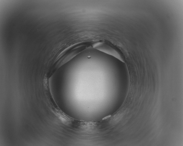 X0000073520288200608071130