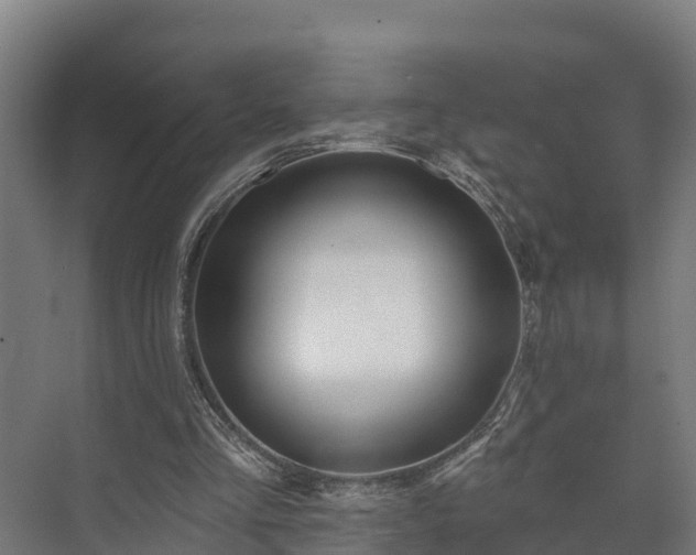 X0000073520293200608071129