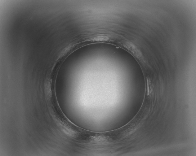 X0000073520300200608071129