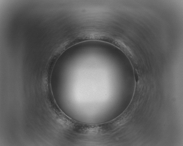 X0000073520306200608071128