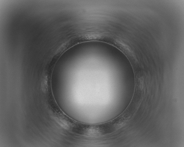 X0000073520308200608071128
