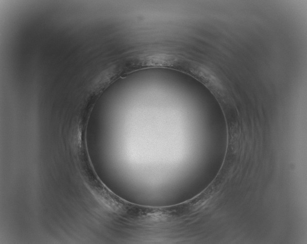 X0000073520310200608071128