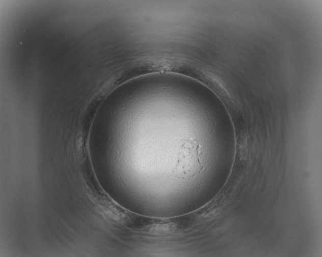 X0000073520314200608071128