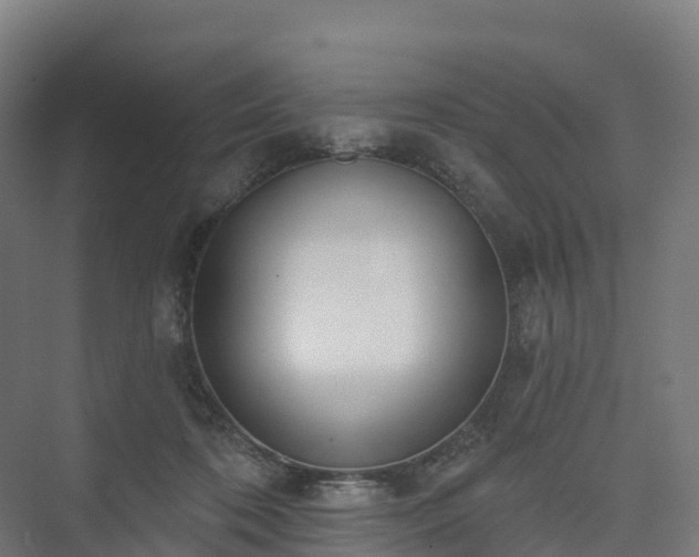 X0000073520316200608071128
