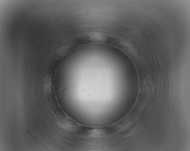 X0000073520320200608071128