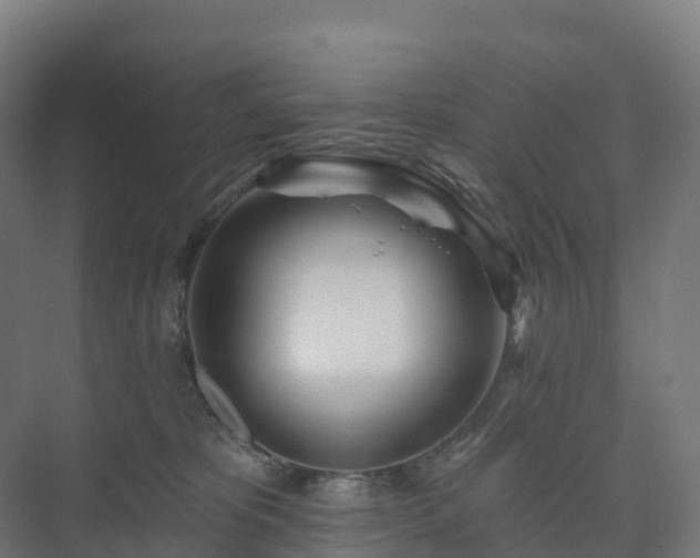 X0000073520325200608071128