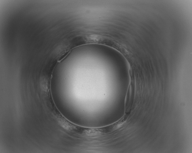 X0000073520331200608071128