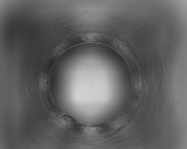 X0000073520332200608071128