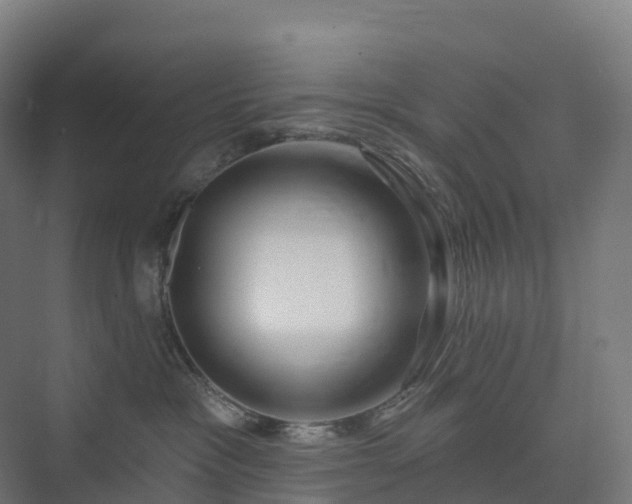 X0000073520333200608071128