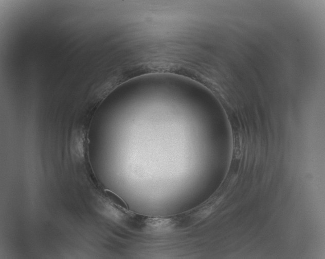 X0000073520334200608071128